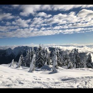 Meet your Posher, Sophia